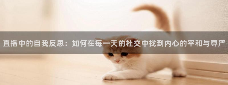 24直播吧nba在线直播免费：直播中的自我反思：如何在每一天的社交中找到内心的平和与尊严