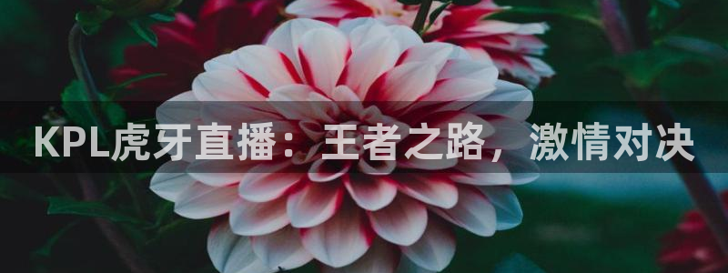 24直播足球在线直播：KPL虎牙直播：王者之路，激情对决