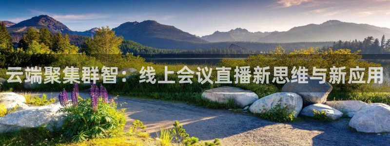 24直播网收费吗：云端聚集群智：线上会议直播新思维与新应用