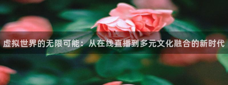 24直播网 nba直播吧：虚拟世界的无限可能：从在线直播到多元文化融合的新时代