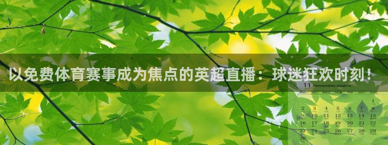 nba直播免费高清直播24直播网：以免费体育赛事成为焦点的英超直播：球迷狂欢时刻！