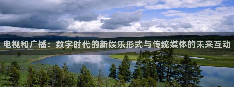 24直播nba：电视和广播：数字时代的新娱乐形式与传统媒体的未来互动