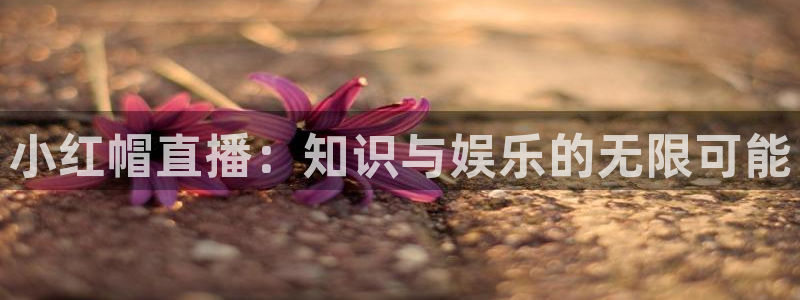 24直播nba直播：小红帽直播：知识与娱乐的无限可能