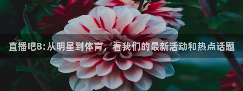 24直播体育免费直播app：直播吧8:从明星到体育，看我们的最新活动和热点话题